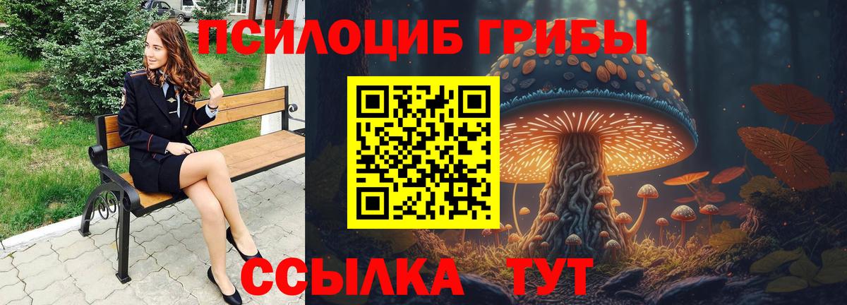 Псилоцибиновые грибы мицелий Канаш