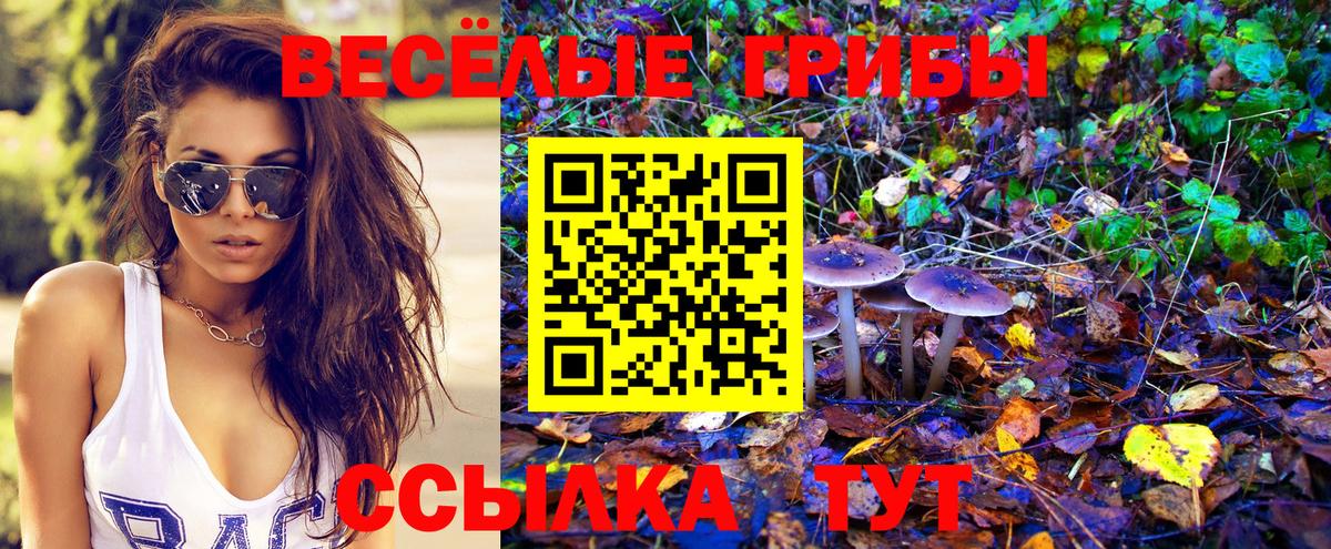 Псилоцибиновые грибы Cubensis  Вход с VPN  даркнет сайт  Канаш 